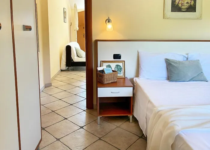 Holihome Vascello B25 トルトレート