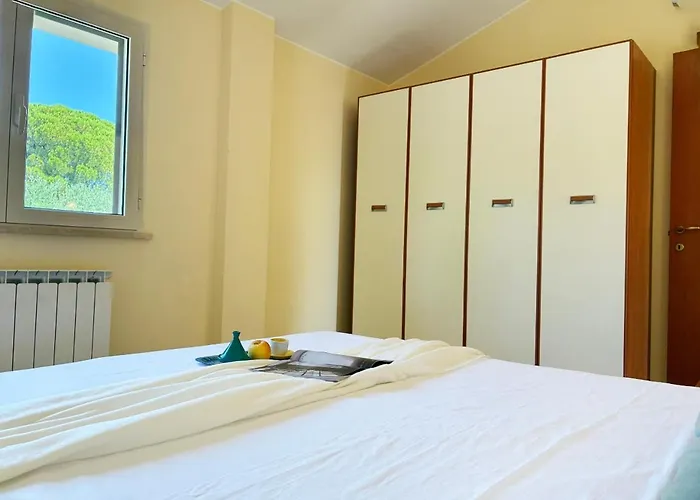 Holihome Vascello B25 トルトレート